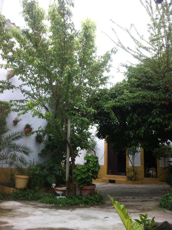 Patio Das Flores Феррейра-ду-Алентежу Экстерьер фото
