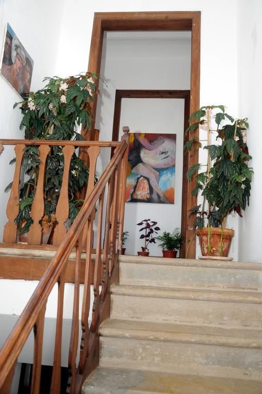 Patio Das Flores Феррейра-ду-Алентежу Экстерьер фото