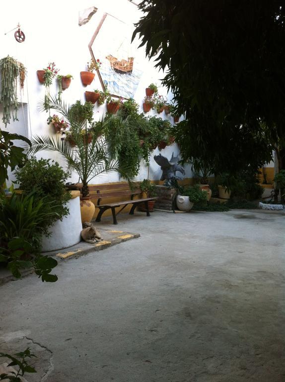 Patio Das Flores Феррейра-ду-Алентежу Экстерьер фото