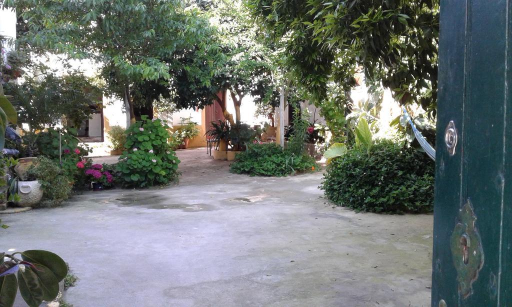 Patio Das Flores Феррейра-ду-Алентежу Экстерьер фото