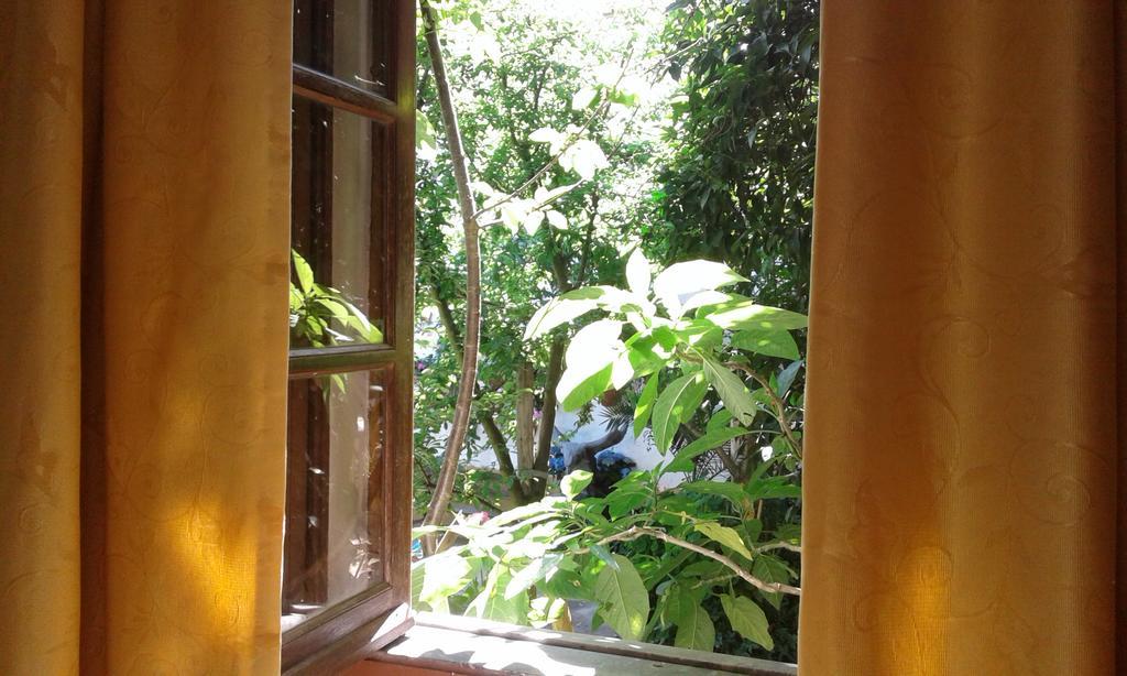 Patio Das Flores Феррейра-ду-Алентежу Экстерьер фото