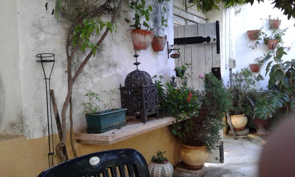 Patio Das Flores Феррейра-ду-Алентежу Экстерьер фото
