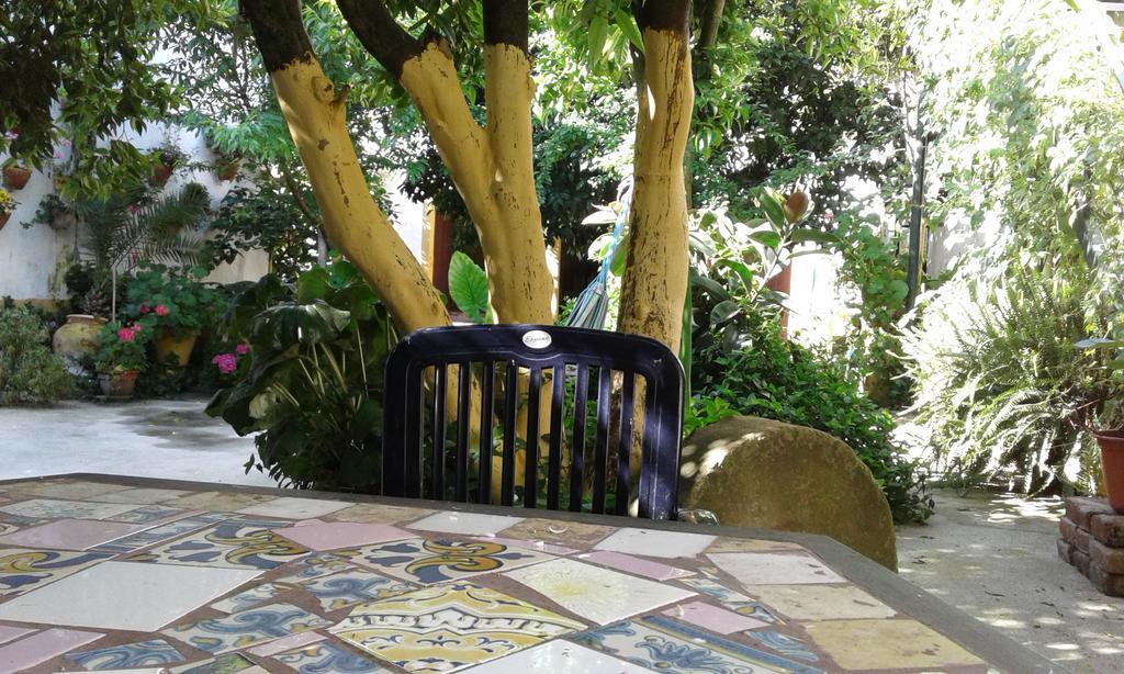 Patio Das Flores Феррейра-ду-Алентежу Экстерьер фото