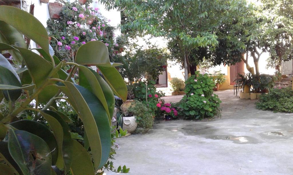Patio Das Flores Феррейра-ду-Алентежу Экстерьер фото