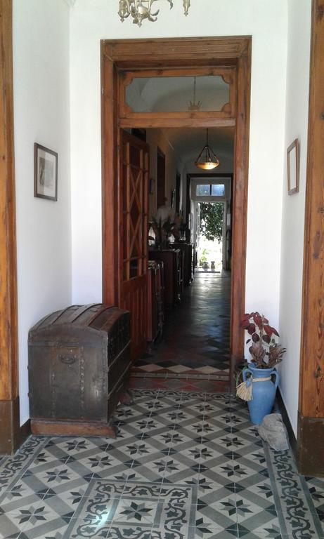 Patio Das Flores Феррейра-ду-Алентежу Экстерьер фото